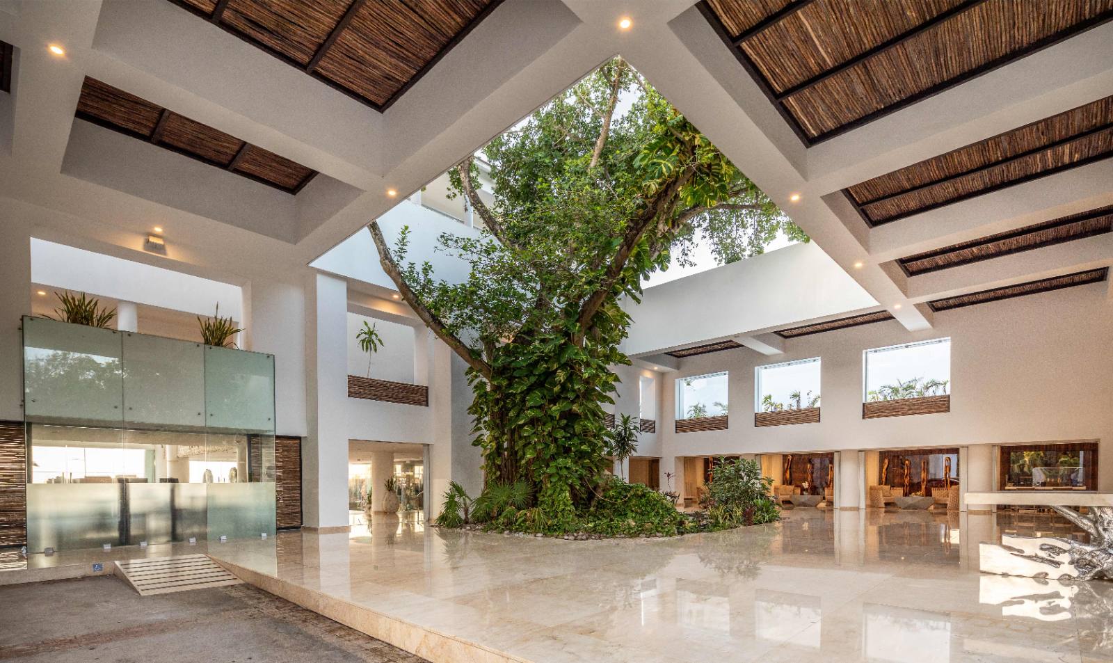 The lobby, built around a tree that goes up through the roof